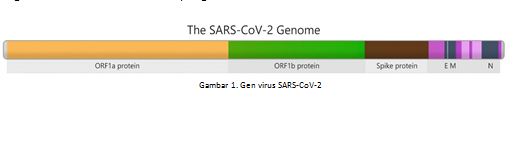 VARIAN VIRUS SARS CoV-2