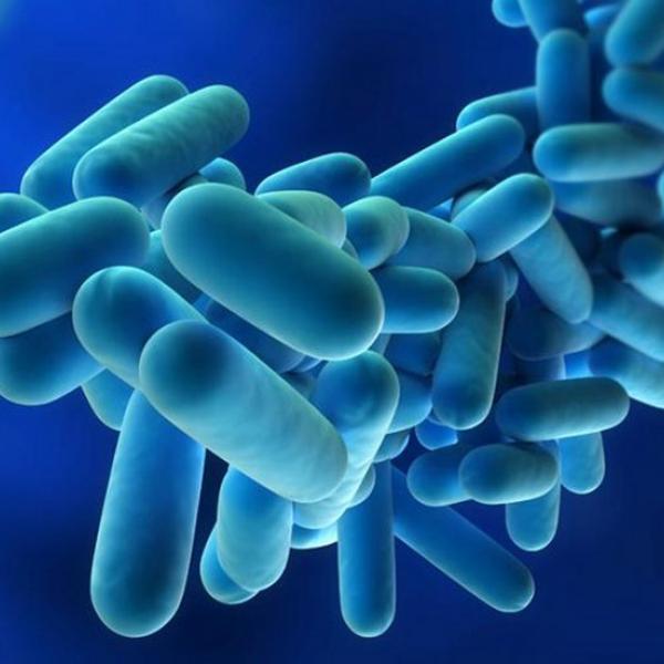 LEGIONELLOSIS
