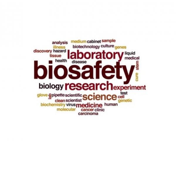 Bekerja aman di Biosafety Cabinet (BSC)