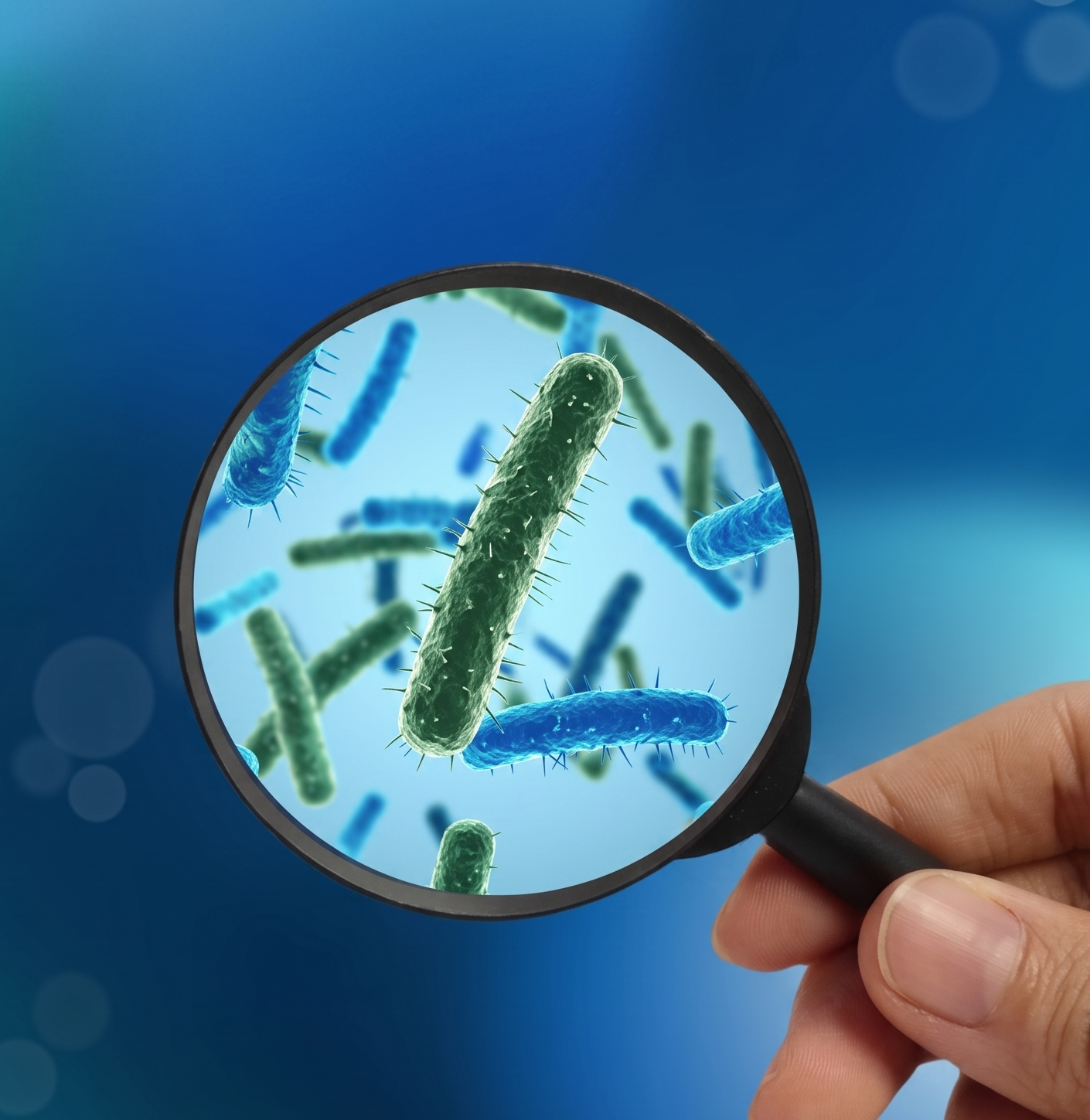 Mengulas Bacillus cereus: Karakteristik Patogen, Risiko Toksin, dan Manajemen Pencegahan KLB Pangan 